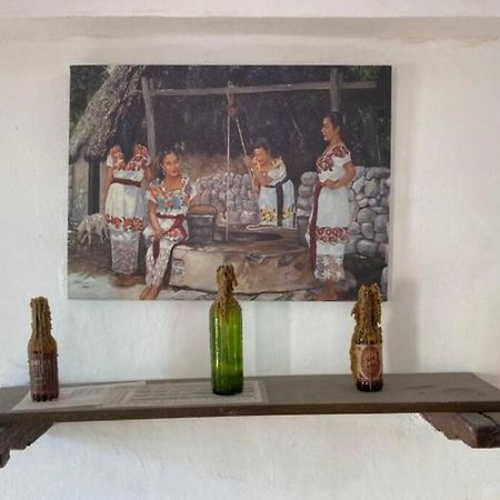 Gran Casa Colonial Equipada En El Centro De Valladolid. Βίλα Βαγιαδολίδ Εξωτερικό φωτογραφία